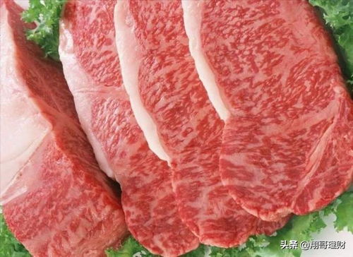 肉制品行業龍頭企業財報分析與投資價值評估